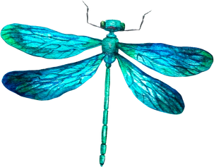 Watercolor Blue Dragonfly